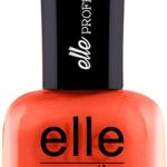 ايل اكلادور رقم 307