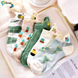 6 شراب حريمي انكل cactus