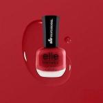 ايل اكلادور 206