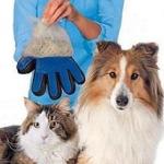 جوانتى العناية بالحيوانات الأليفة .