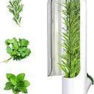 حافظه أعشاب فريش للثلاجة أستاند الكزبرة و النعناع و البقدونس و الهليون 1 قطعة ألوان متعددة