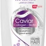 ليز شامبو تساقط  قهوه 350مل