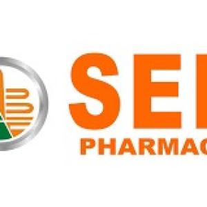Seif Pharmacy Raml Station - Branch 4