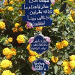 دلايه عربيه