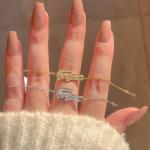 استنلس بيور لاكوست