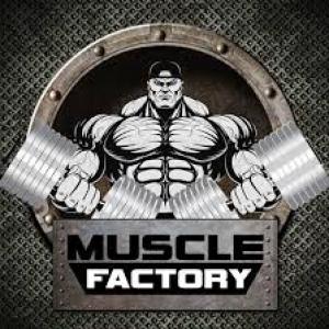 Muscle Factory - Branch 2