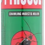 بير سول اخضر زاحف