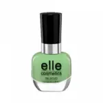 ايل اكلادور رقم 804