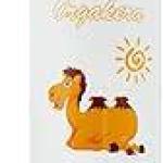 اورجاكيرا لوشن فانليا والبركه 250م