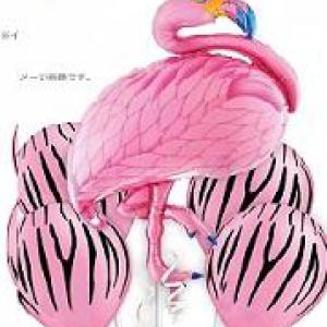 بالونة هيليوم بجعة 5 قطع ألوان متعددة