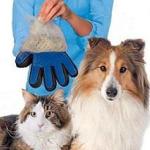 جوانتى العناية بالحيوانات الأليفة .