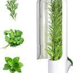 حافظه أعشاب فريش للثلاجة أستاند الكزبرة و النعناع و البقدونس و الهليون 1 قطعة ألوان متعددة