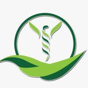 Belqis Pharmacy - Branch 6