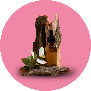 icon Body Oils